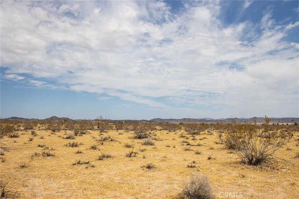 Image 7 of property listing at 5589 Sutton Avenue, Joshua Tree, CA 92252