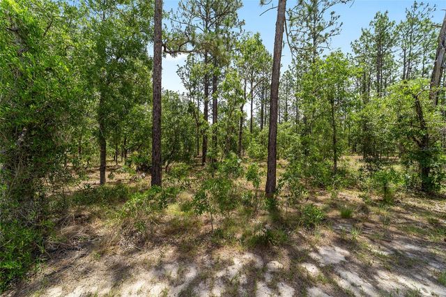 7035 SW 136TH COURT ROAD, Ocala, FL 34481
