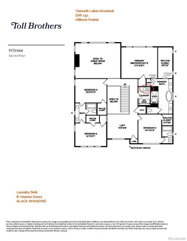 5610 Blacksmith Avenue, Timnath, CO 80547