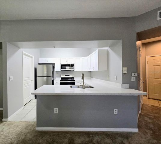 5125 PALM SPRINGS BOULEVARD 1101, Tampa, FL 33647