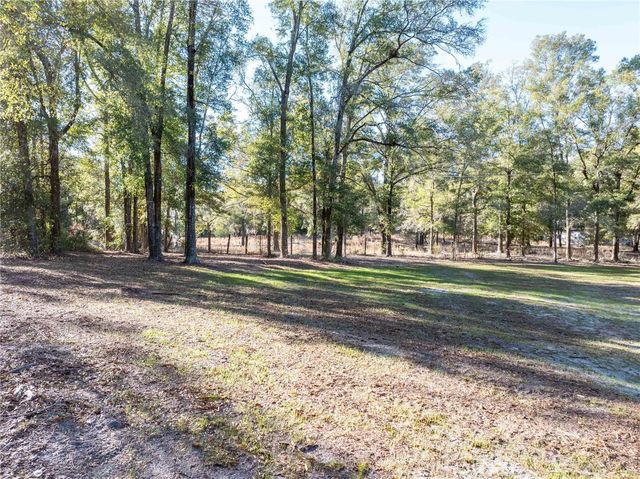 1809 ROSEMARY CIRCLE, Bell, FL 32619