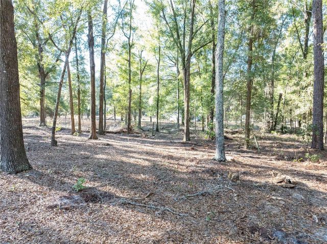 1809 ROSEMARY CIRCLE, Bell, FL 32619