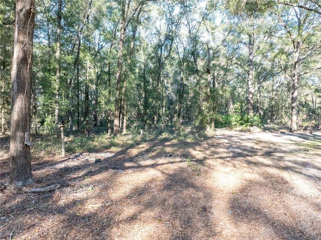 1809 ROSEMARY CIRCLE, Bell, FL 32619