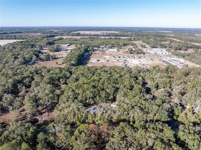 1809 ROSEMARY CIRCLE, Bell, FL 32619