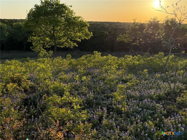 14435 FM 182, Clifton, TX 76634