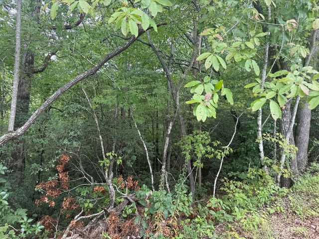 0000 Bethabara View, Hayesville, NC 28904