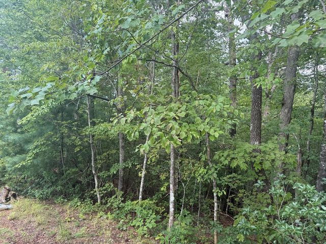 0000 Bethabara View, Hayesville, NC 28904