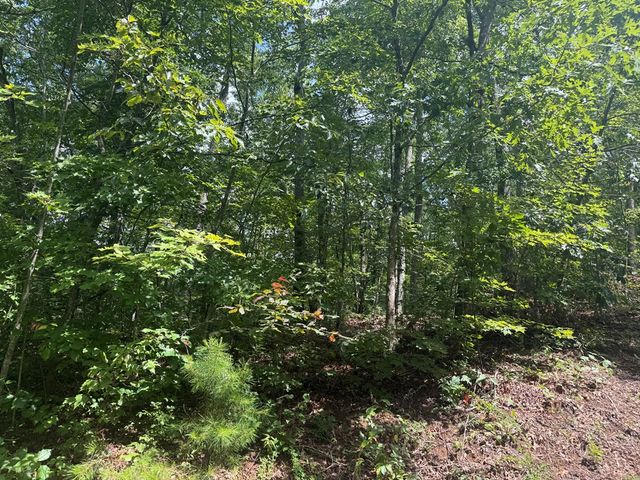 0000 Bethabara View, Hayesville, NC 28904