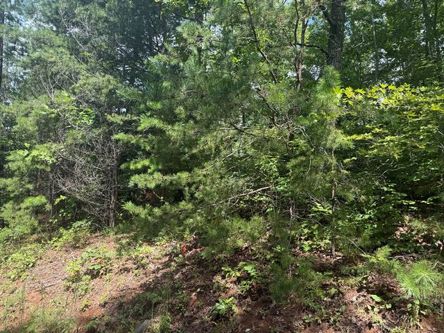 0000 Bethabara View, Hayesville, NC 28904