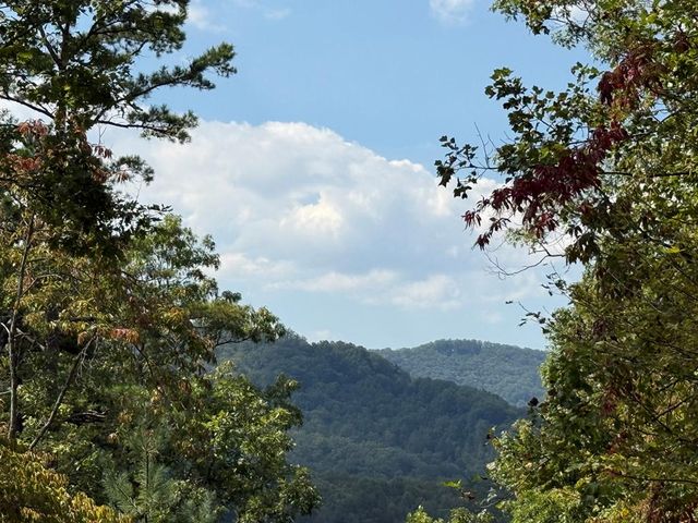 0000 Bethabara View, Hayesville, NC 28904