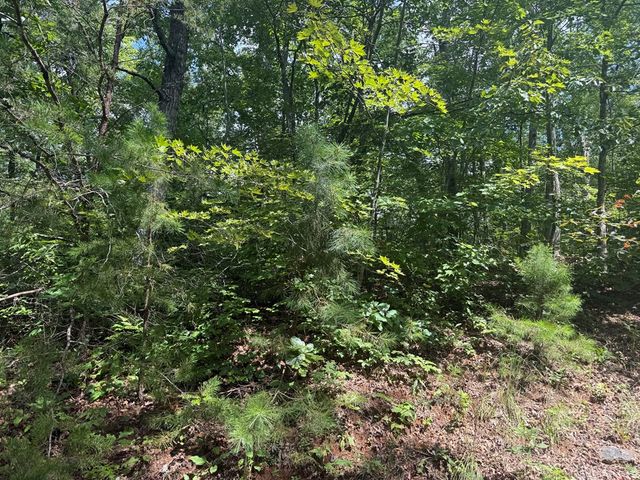 0000 Bethabara View, Hayesville, NC 28904