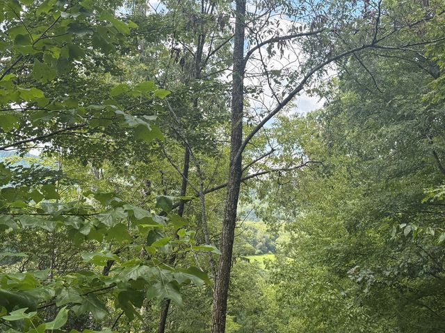 0000 Bethabara View, Hayesville, NC 28904