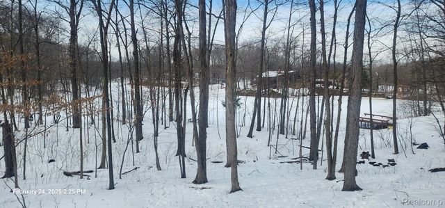 001 Driftwood Drive, Deerfield Township, MI 48430