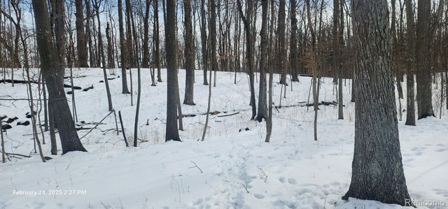 001 Driftwood Drive, Deerfield Township, MI 48430