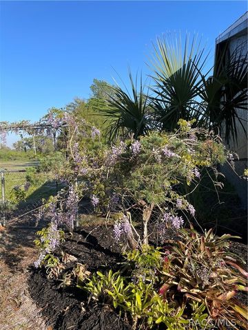 7533 E Applewood Drive, Inverness, FL 34450