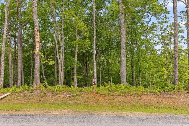Lot 72 Hill Top Way, Mineral Bluff, GA 30559