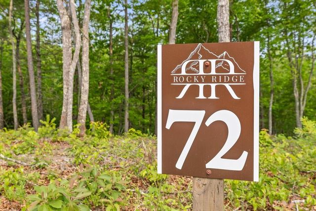 Lot 72 Hill Top Way, Mineral Bluff, GA 30559