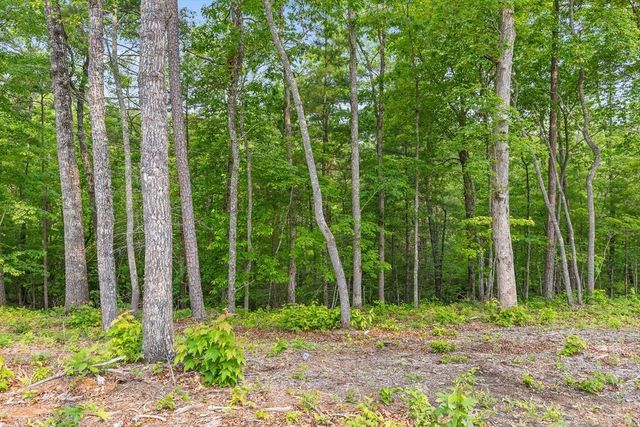 Lot 72 Hill Top Way, Mineral Bluff, GA 30559