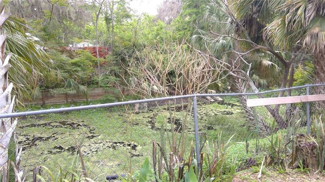 1637 CR 434, Lake Panasoffkee, FL 33538
