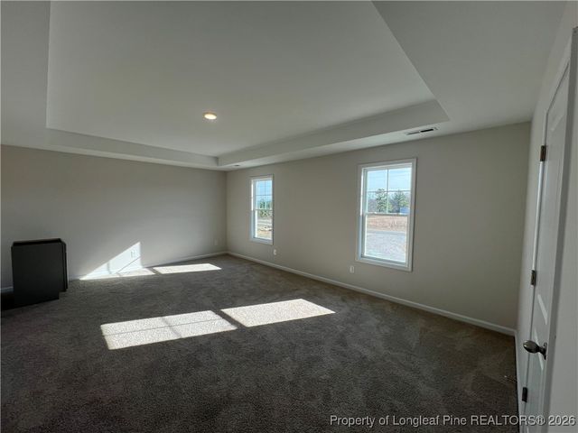 4025 Blue Springs Road, Red Springs, NC 28377