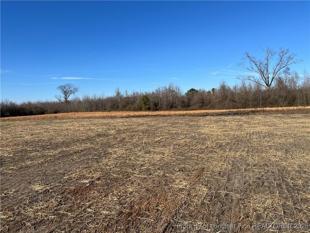 4025 Blue Springs Road, Red Springs, NC 28377