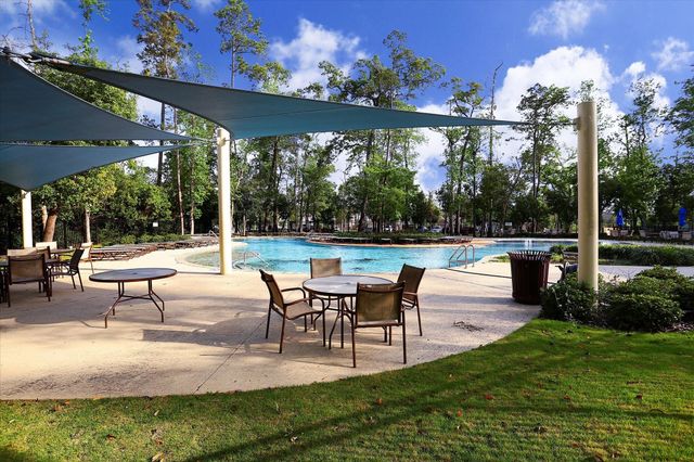 4411 Lone Alcove Drive, Spring, TX 77386