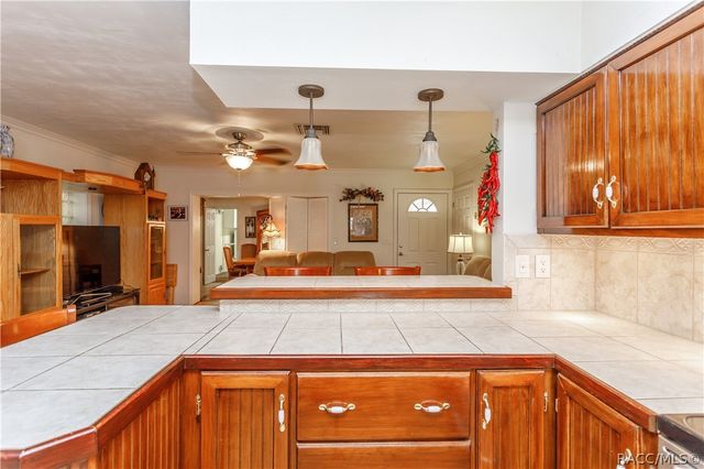 7163 Fireside Street, Spring Hill, FL 34606