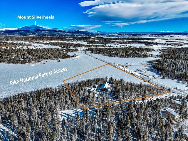 43 Clover Ct, Fairplay, CO 80440