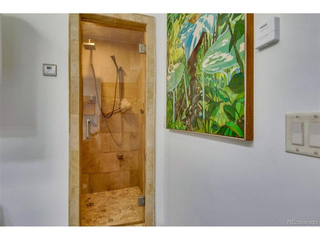 43 Clover Ct, Fairplay, CO 80440