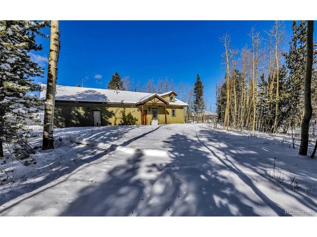 43 Clover Ct, Fairplay, CO 80440