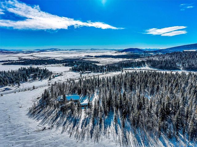 43 Clover Ct, Fairplay, CO 80440