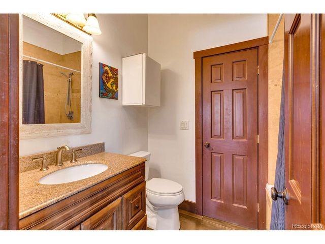 43 Clover Ct, Fairplay, CO 80440