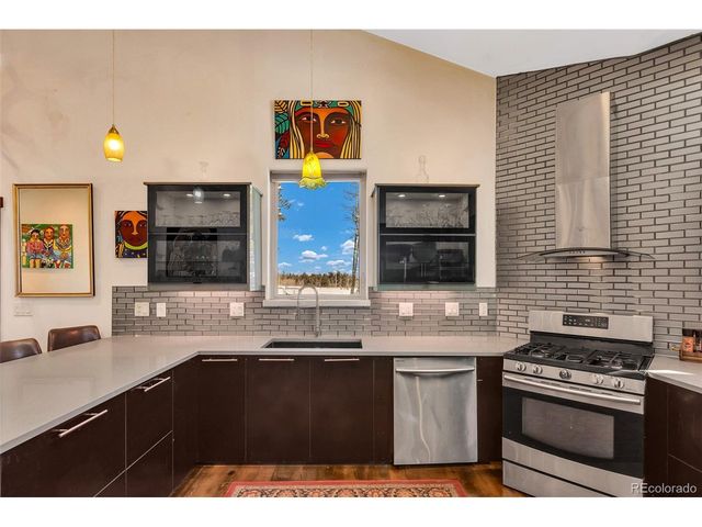 43 Clover Ct, Fairplay, CO 80440