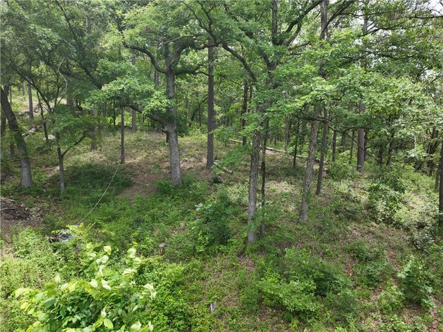 6937 Highway 221, Berryville, AR 72616