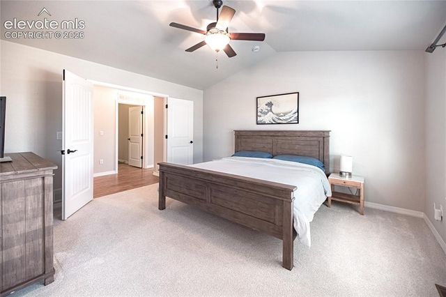 8165 Foxtail Pine Place, Colorado Springs, CO 80927