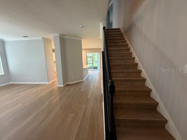 1885 SCRUB JAY RD., Apopka, FL 32703