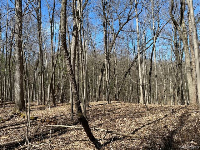 11.01 Acres Vacant Land KNIGHTS BRIDGE Road, Addison Twp, MI 48367