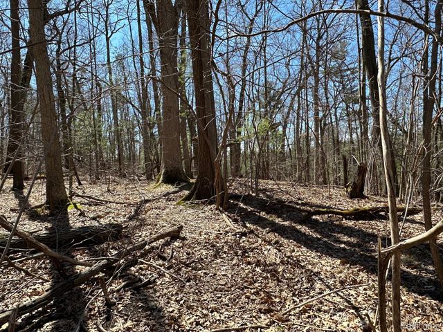 11.01 Acres Vacant Land KNIGHTS BRIDGE Road, Addison Twp, MI 48367