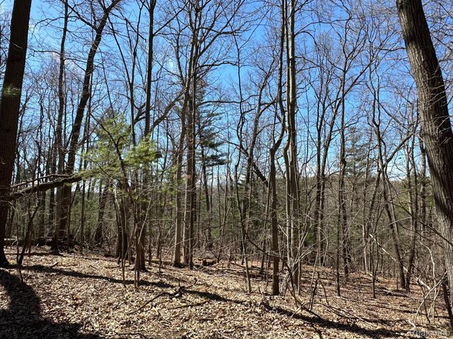 11.01 Acres Vacant Land KNIGHTS BRIDGE Road, Addison Twp, MI 48367