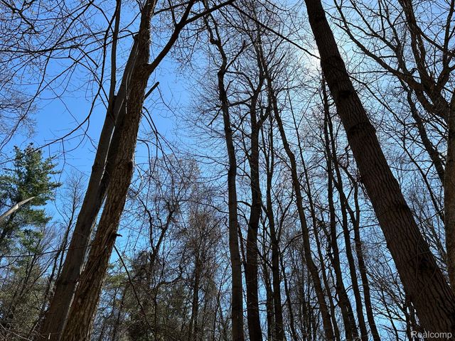 11.01 Acres Vacant Land KNIGHTS BRIDGE Road, Addison Twp, MI 48367