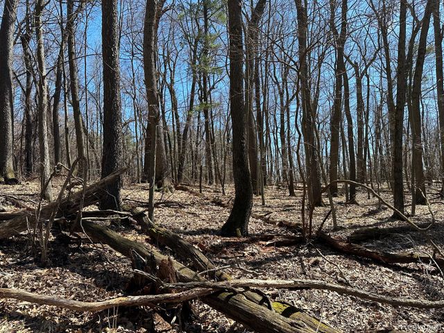 11.01 Acres Vacant Land KNIGHTS BRIDGE Road, Addison Twp, MI 48367