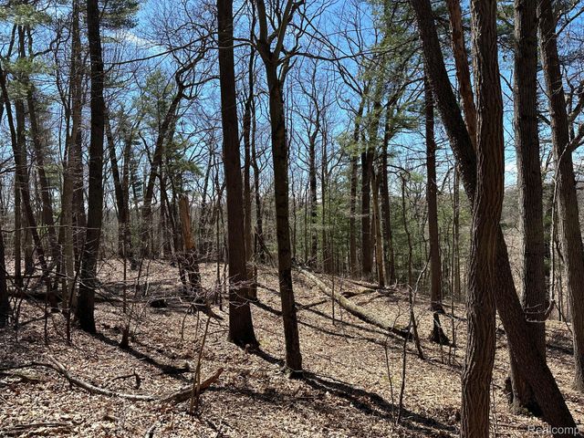 11.01 Acres Vacant Land KNIGHTS BRIDGE Road, Addison Twp, MI 48367