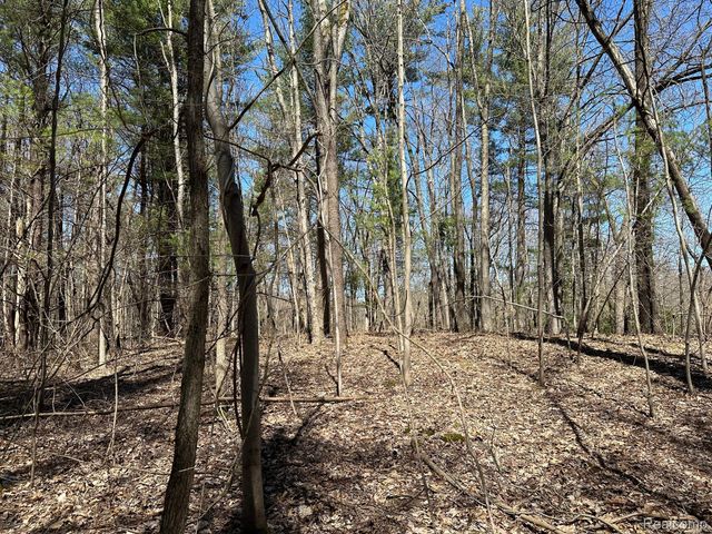 11.01 Acres Vacant Land KNIGHTS BRIDGE Road, Addison Twp, MI 48367