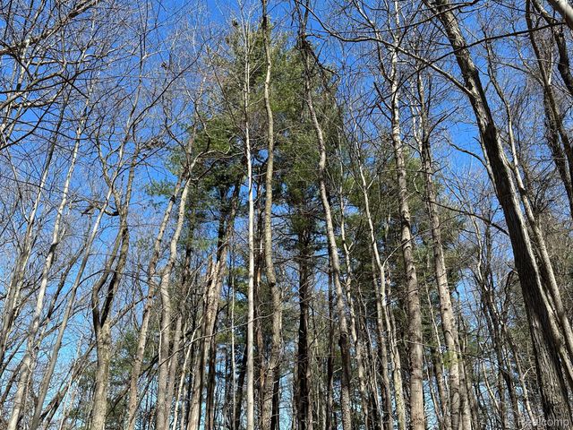 11.01 Acres Vacant Land KNIGHTS BRIDGE Road, Addison Twp, MI 48367