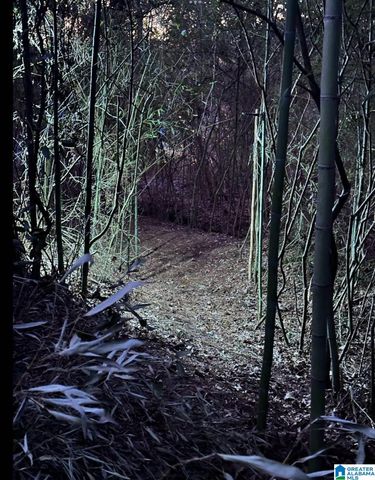 1115 NORTH STREET EAST, Talladega, AL 35160