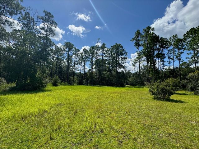 2750 BIG JOHN DRIVE, Deland, FL 32724