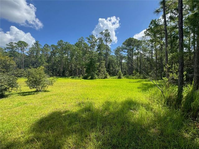 2750 BIG JOHN DRIVE, Deland, FL 32724
