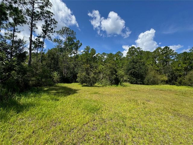 2750 BIG JOHN DRIVE, Deland, FL 32724