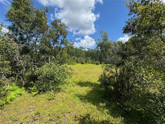 2750 BIG JOHN DRIVE, Deland, FL 32724