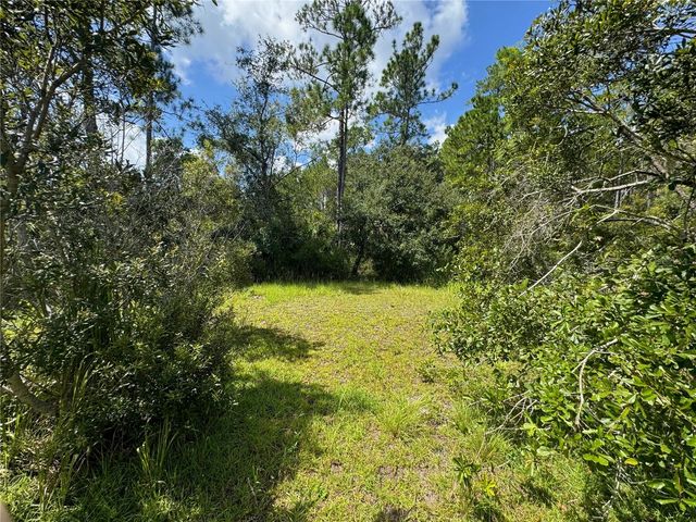 2750 BIG JOHN DRIVE, Deland, FL 32724